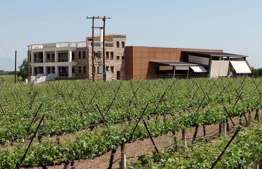 on side of 'Domaine Migas' building with two floors surronded by vineyards